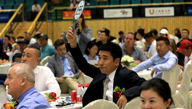 山西玉龍投資集團有限公司